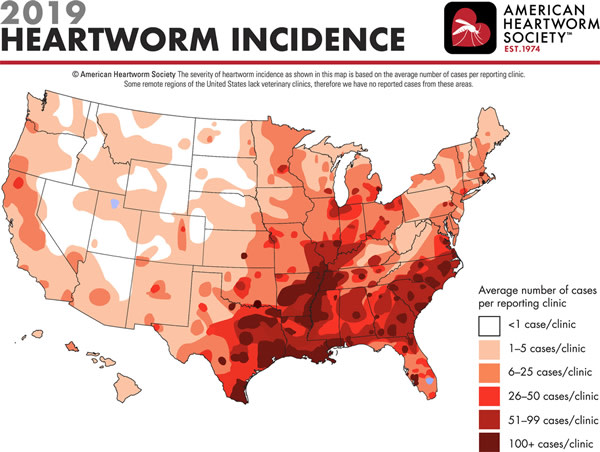 heartworm incidence map 2019