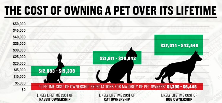 一生中养宠物的费用
