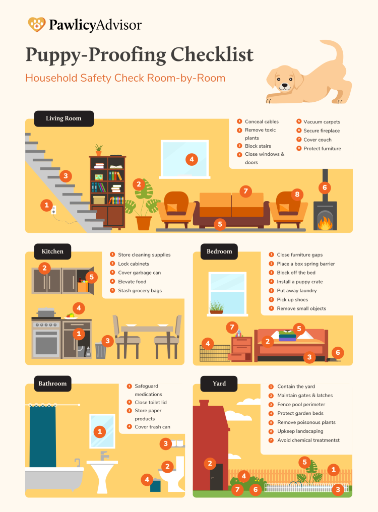 How to Puppy-Proof Your House Checklist
