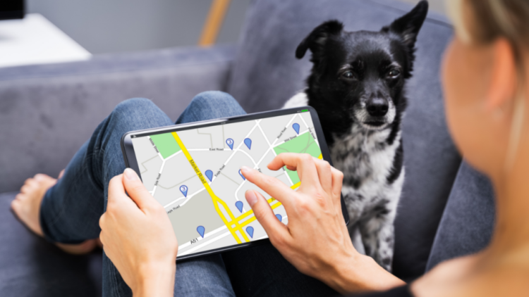 searching dog locations on tablet
