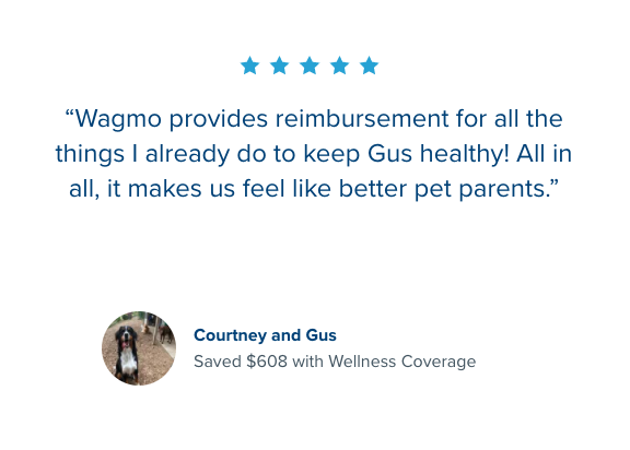 Wagmo customer review