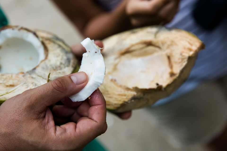 coconut meat for dogs