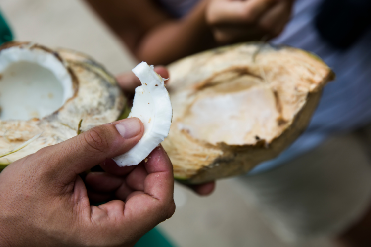 Fresh coconut meat