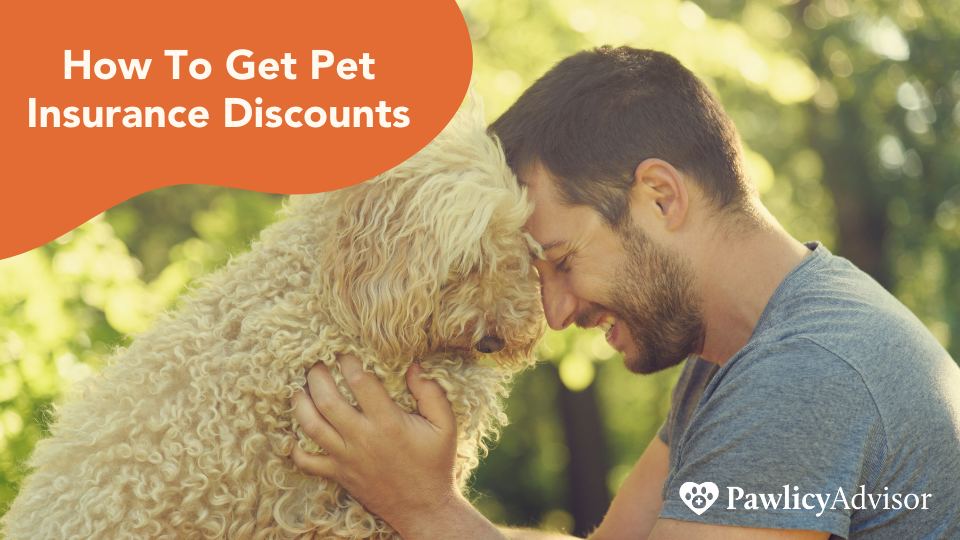 Defaqto 5 Star Rated Pet Insurance, 10% Online Discount