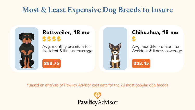 least and most expensive dog breeds to insure