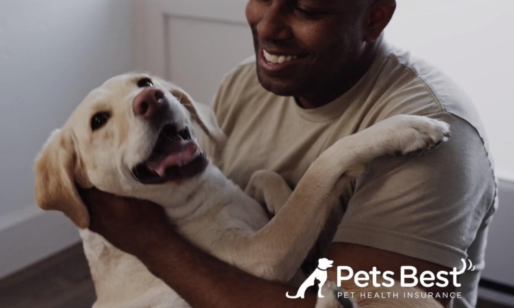Pets Best Pet Insurance 