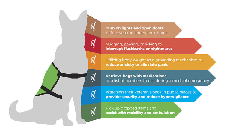 Service animal examples