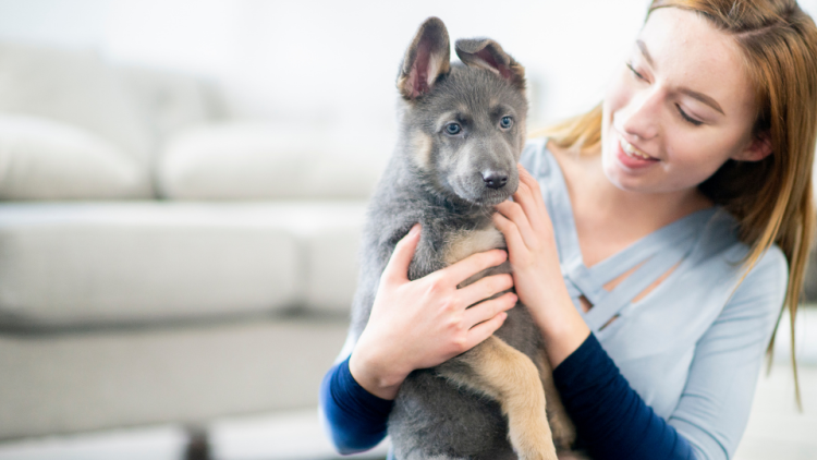 woman holding a new puppy