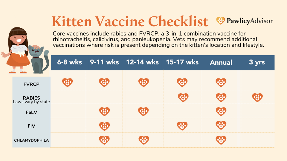 Kitten Vaccine Schedule For First-Year Shots [Chart] | Pawlicy Advisor