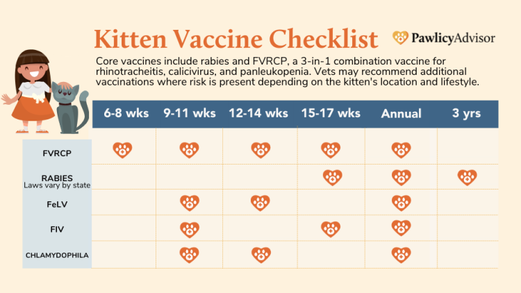 Fvrcp kitten hot sale vaccine