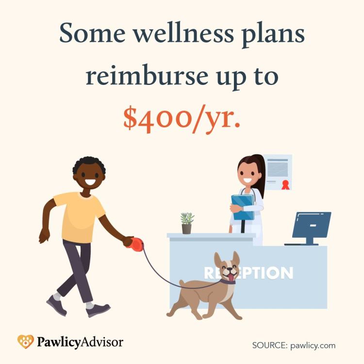 Pet wellness plans reimburse up to $400 per year