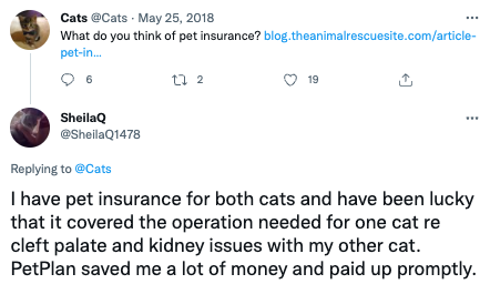 猫保险推特4