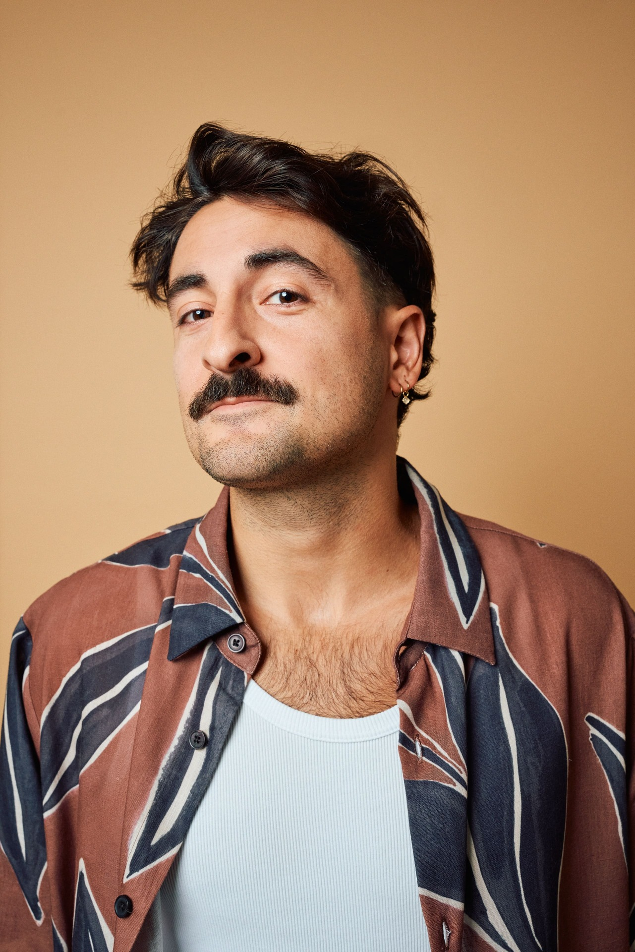 Vincent 3410 72dpi v1