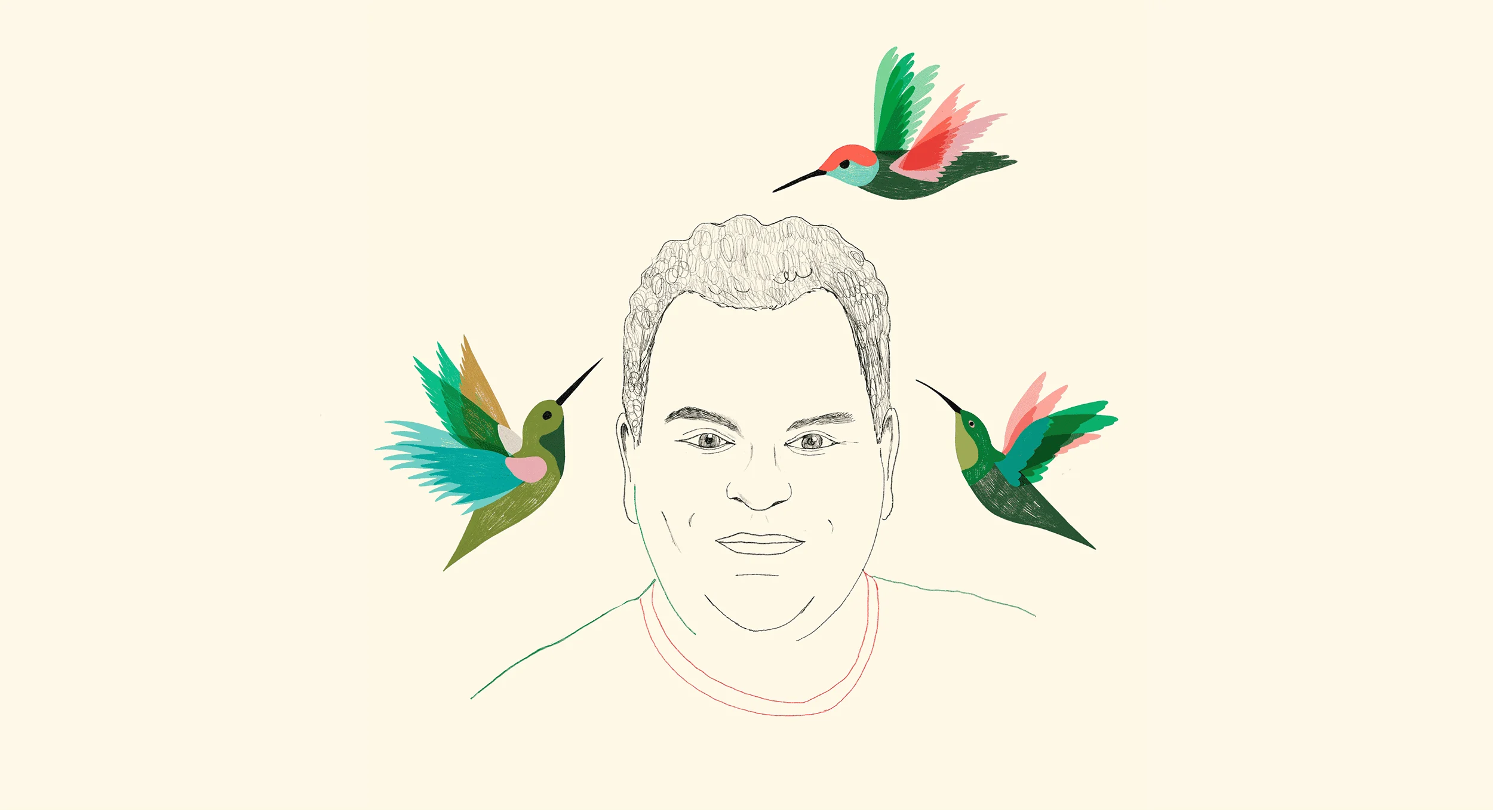 4 Image Colibris 2500x1360