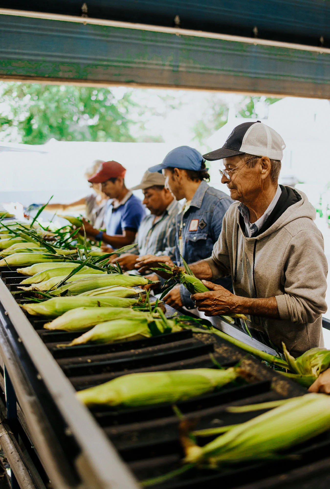 Imédia Siteweb Maïs 9