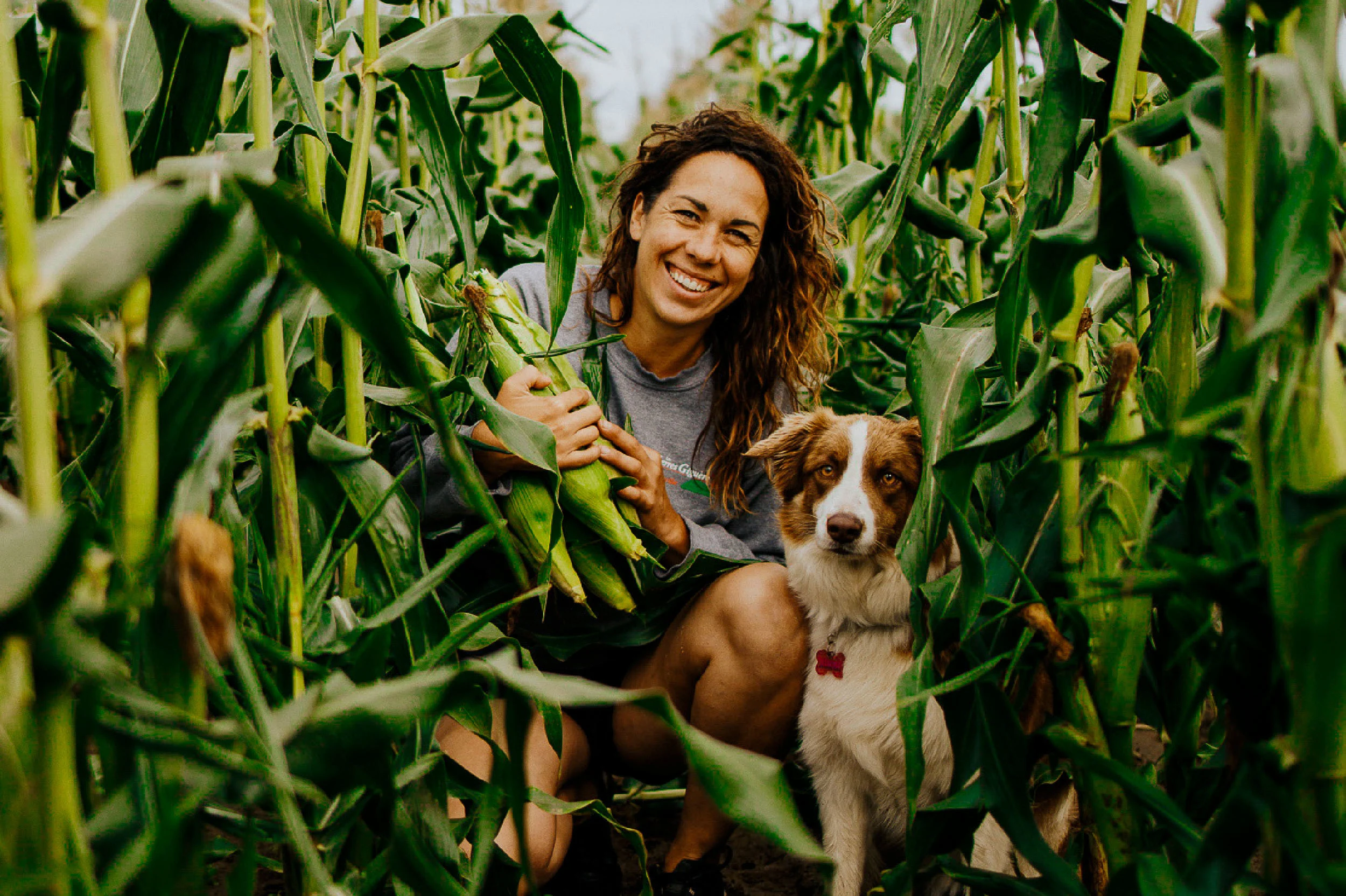 Imédia Siteweb Maïs 5