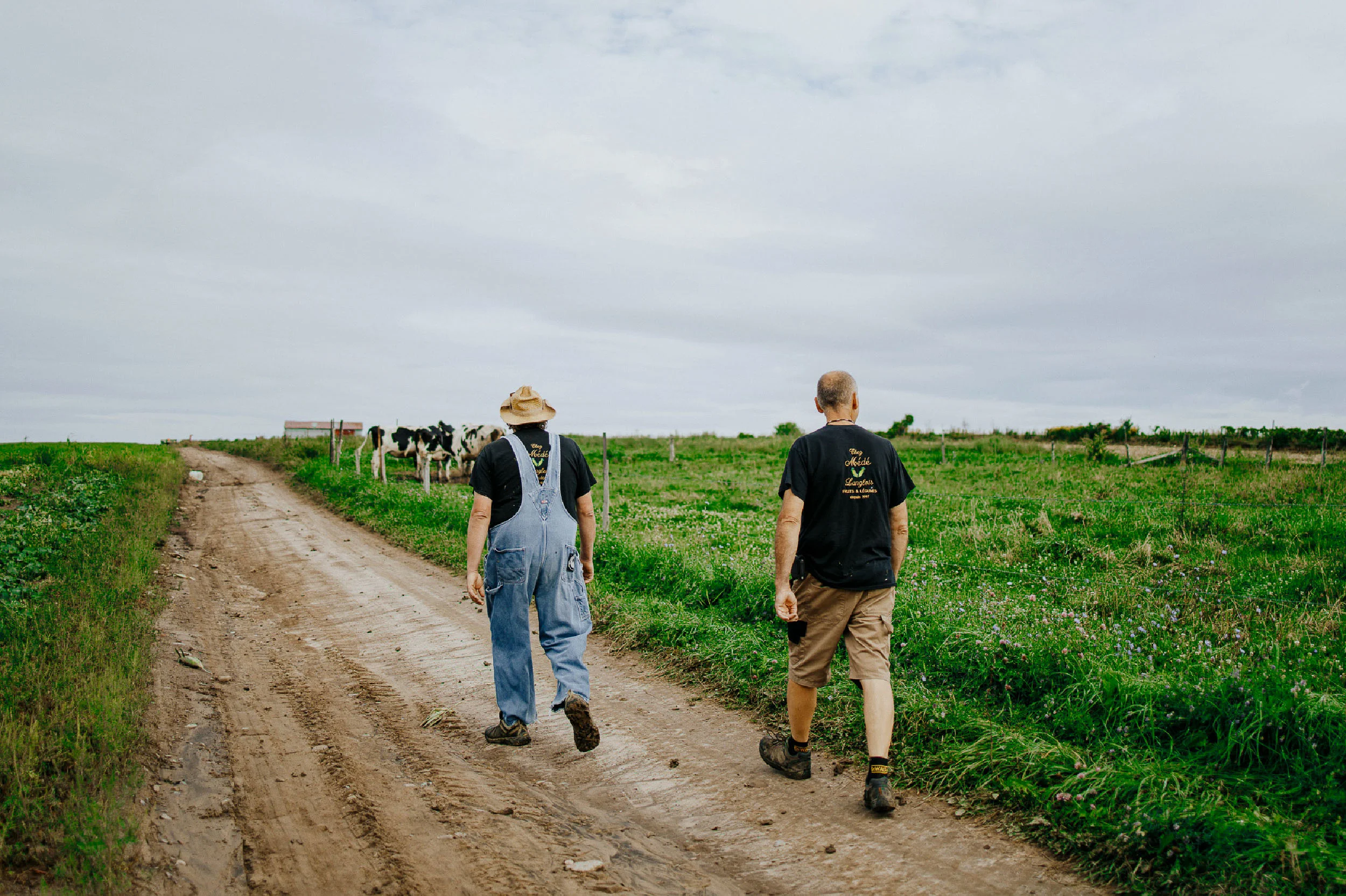 Imédia Siteweb Maïs 14