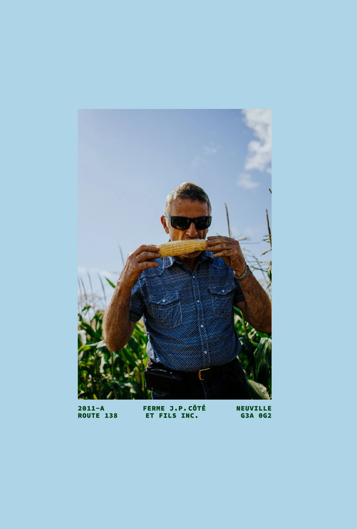 Imédia Siteweb Maïs 10