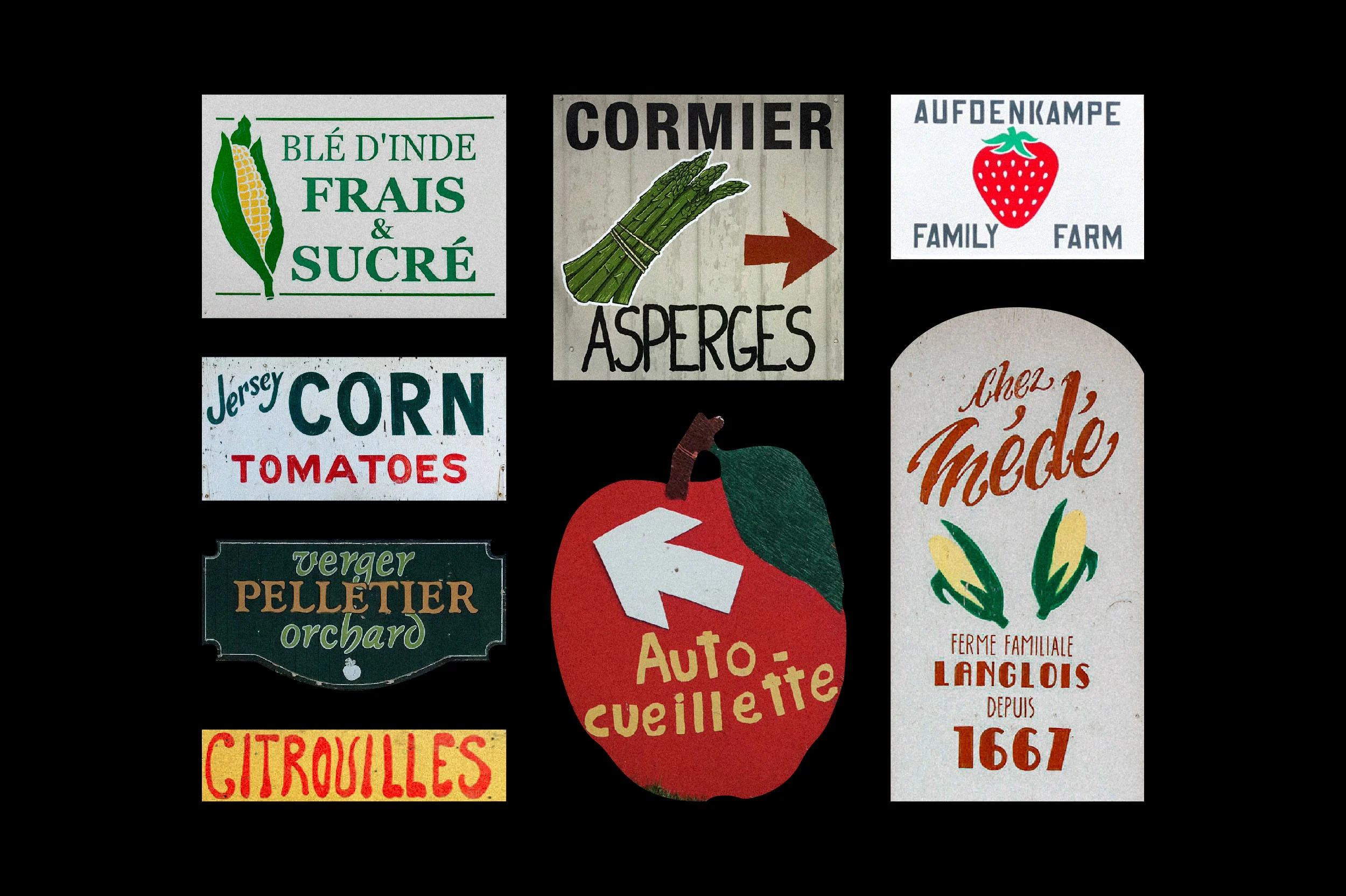 Imédia Siteweb Maïs 3