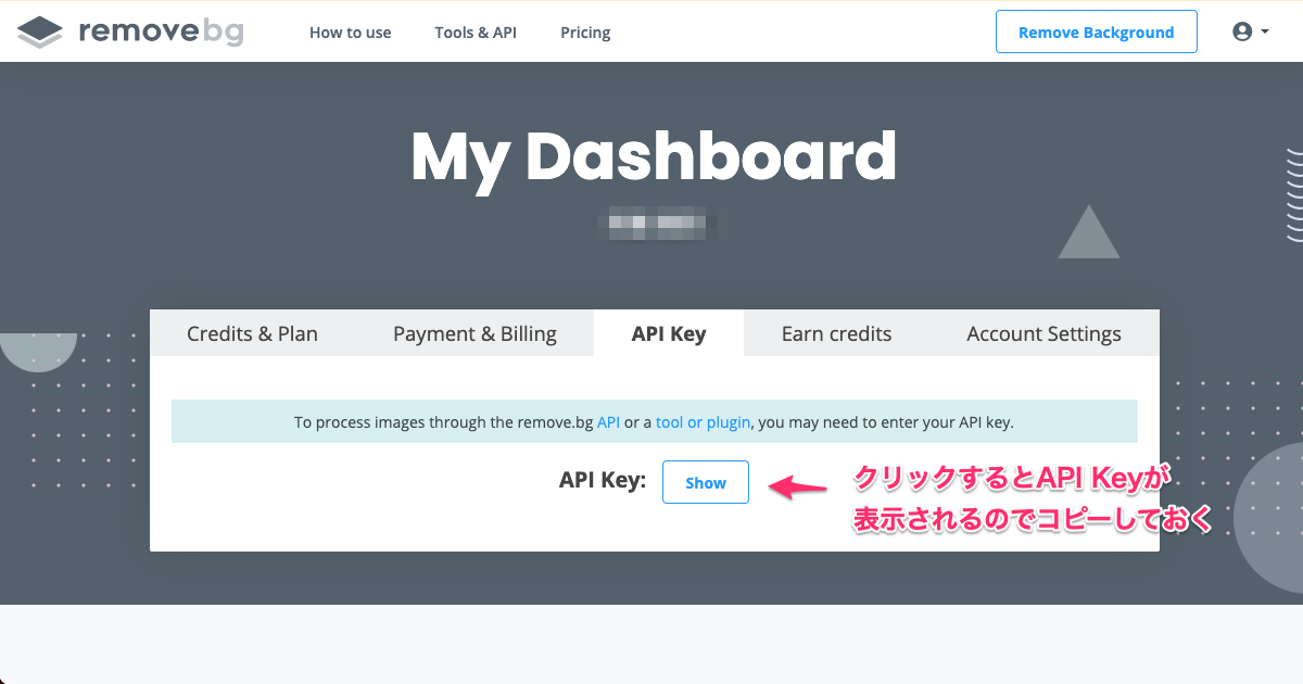 remove-bg-website-api-key