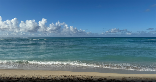 stop-working-for-others