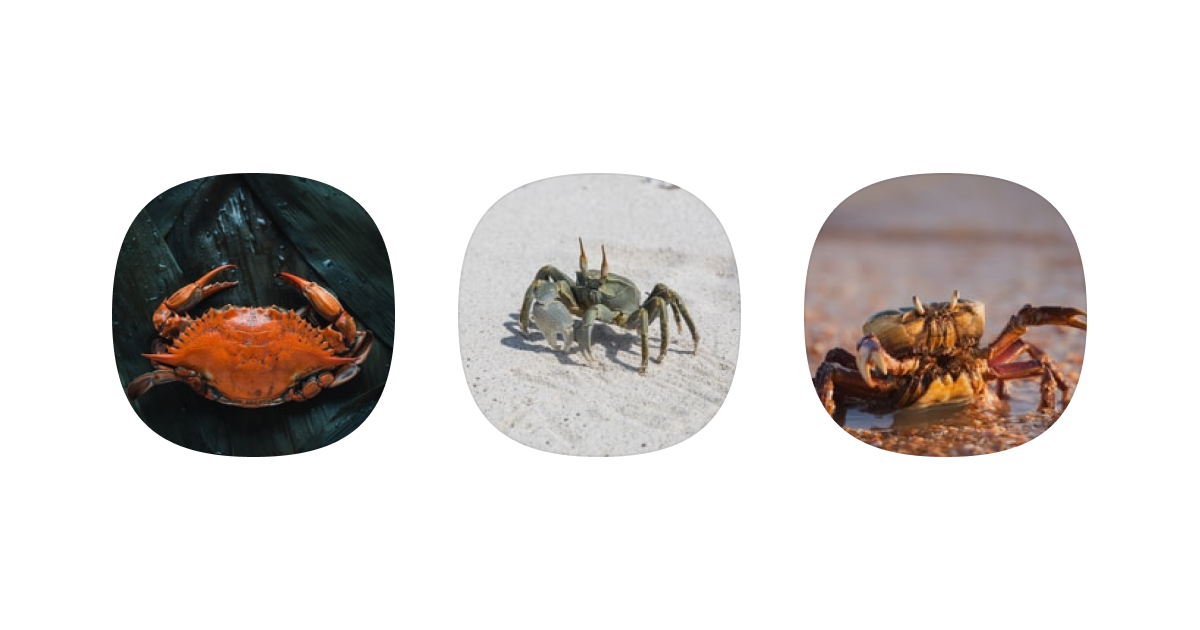 super-sllipse-crabs