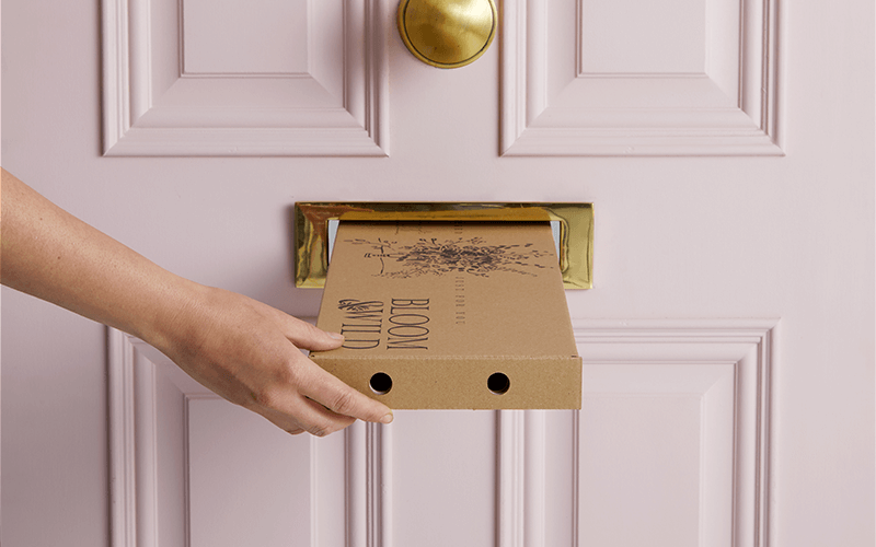 Letterbox Flowers Same Day Delivery London Best Flower Site