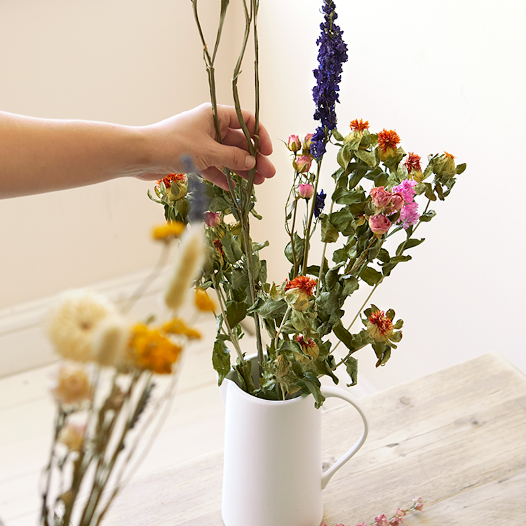 Fiori asciutti e asciugati a fiore-uomo