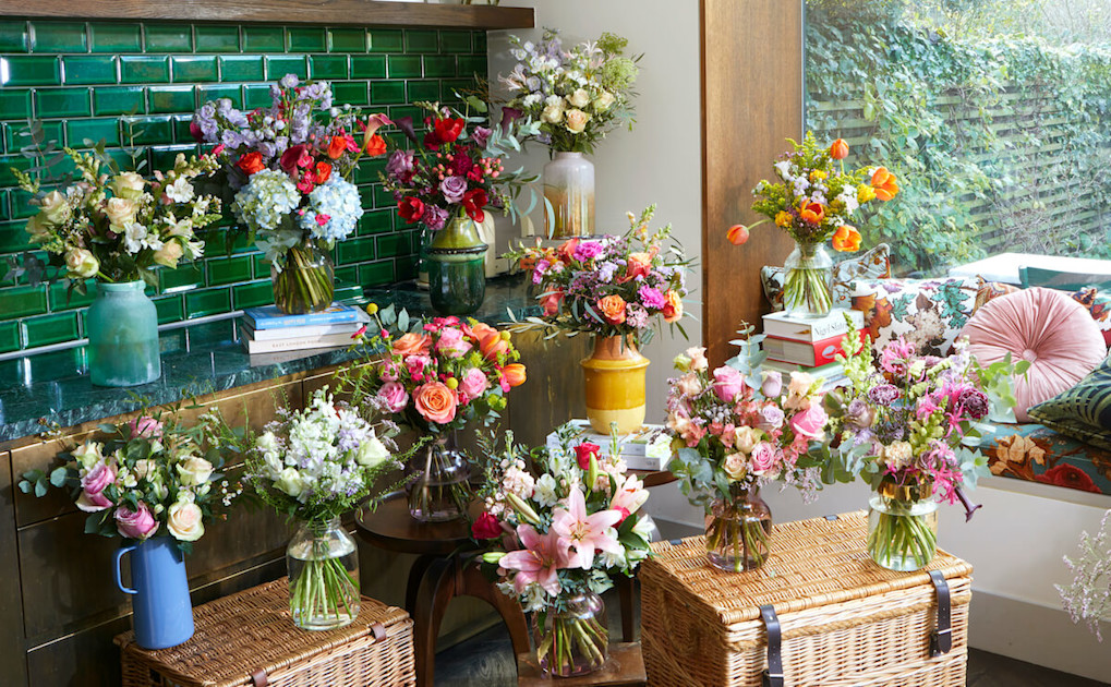 Our giveaways Bloom & Wild Flowers & Flower Delivery