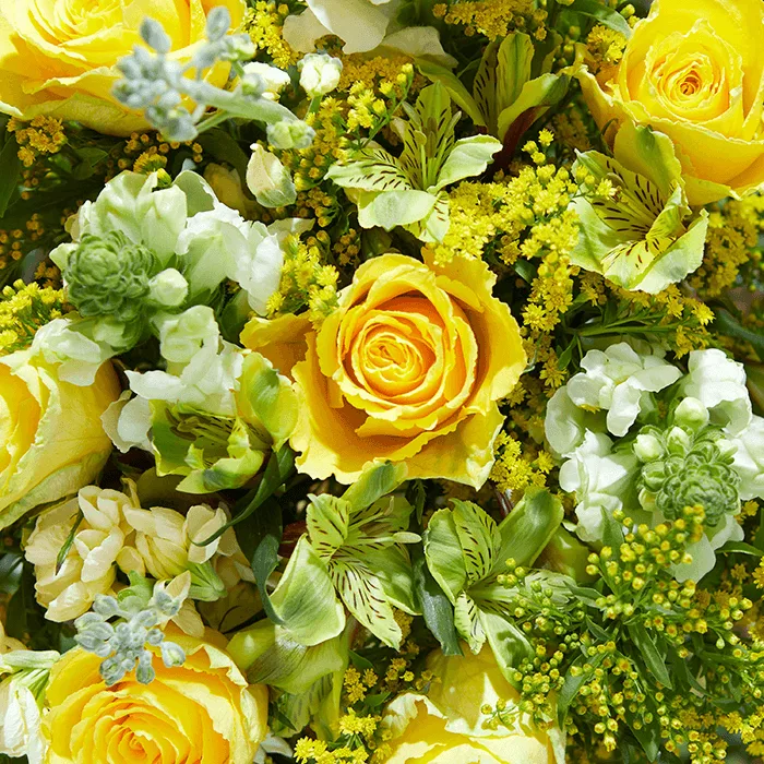 The Meaning & Symbolism of Yellow Roses | Bloom & Wild