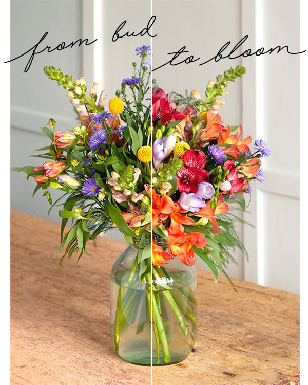 Ireland Flower Delivery Bloom Wild