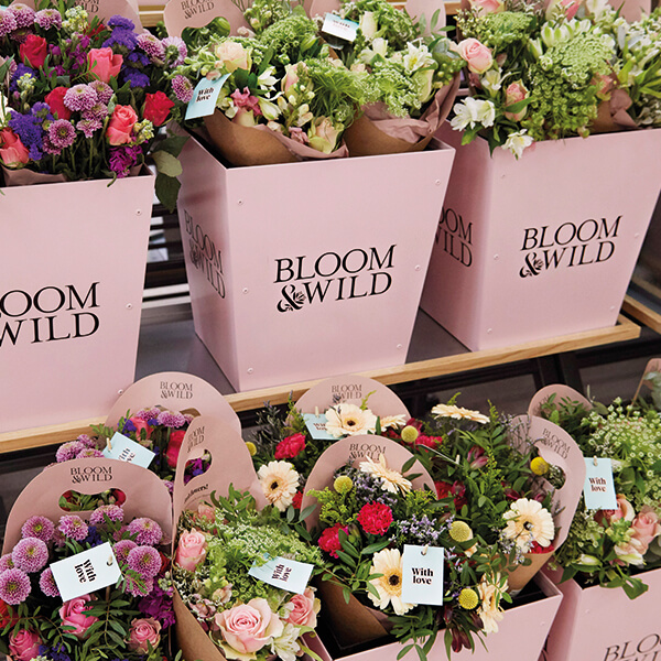 Bloom \u0026 Wild Flowers