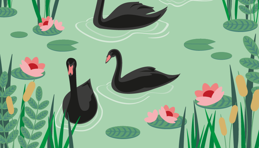 Artigo O futuro tem dois cisnes:  um negro e um verde