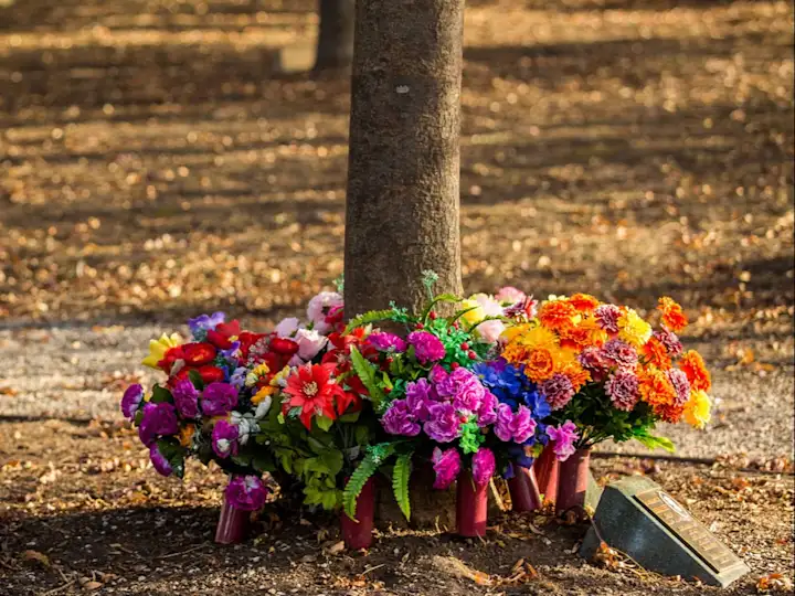 flowers under tree