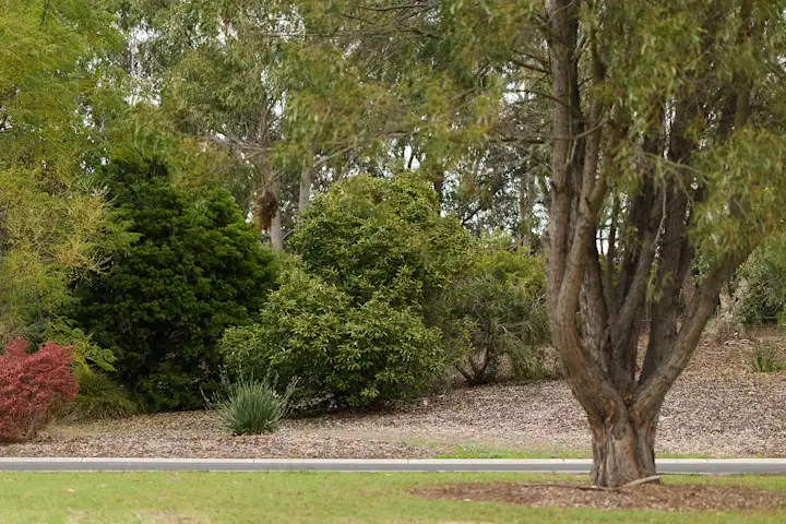 Lilydale Memorial Park 00321
