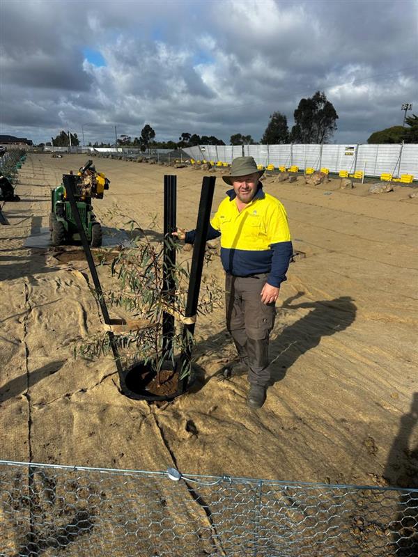 First Tree Planted at Harkness Memorial Park