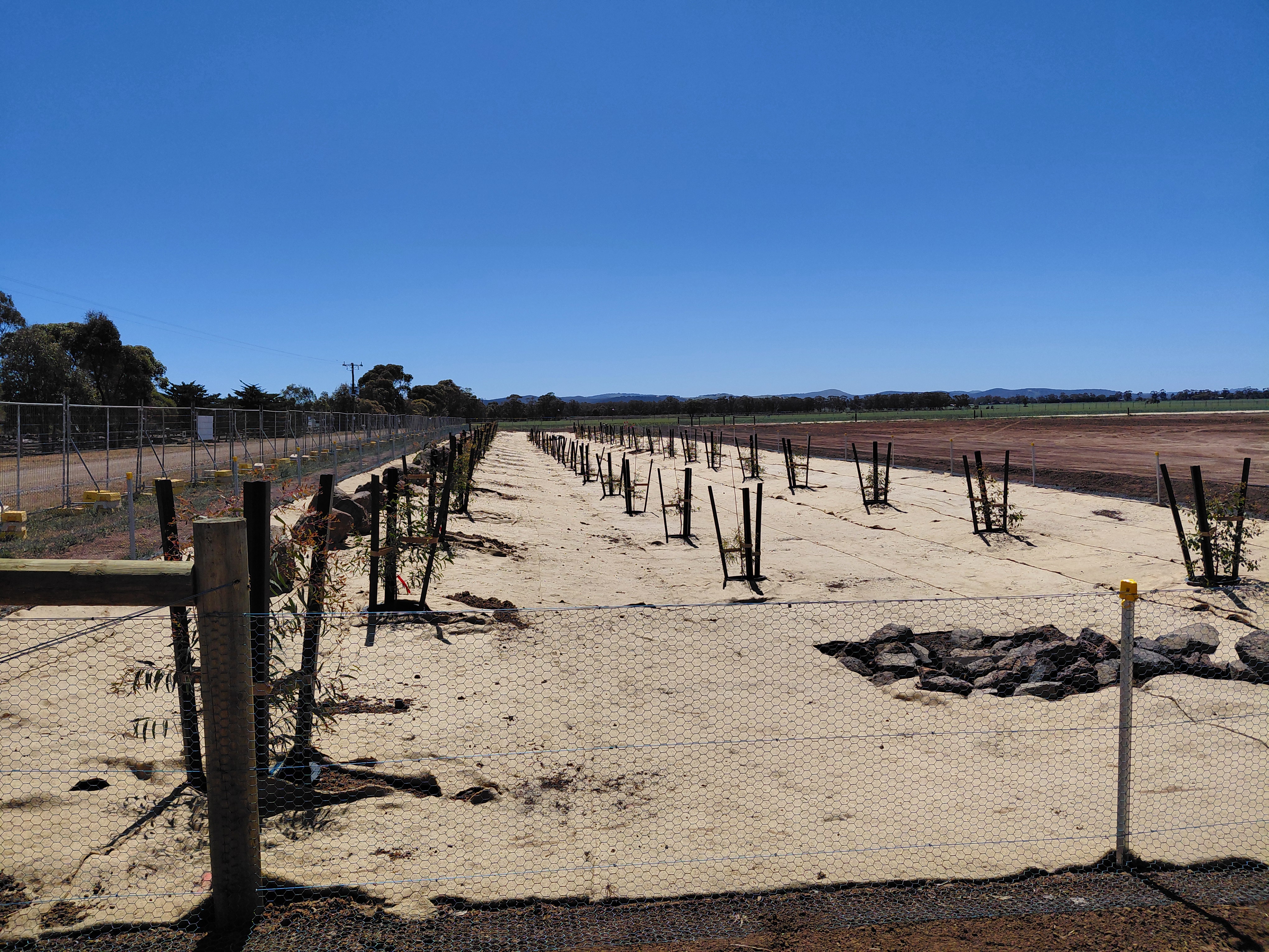 Boundary Tree Boundary tree planting complete as Harkness Memorial Park prepares for ...