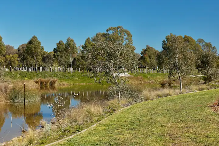 River Red Gum Precinct Pond - Northern Memorial Park
