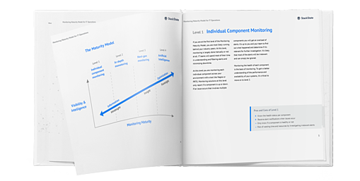 White paper monitoring maturity model