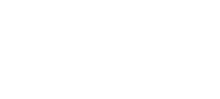 APA-IT Technologies