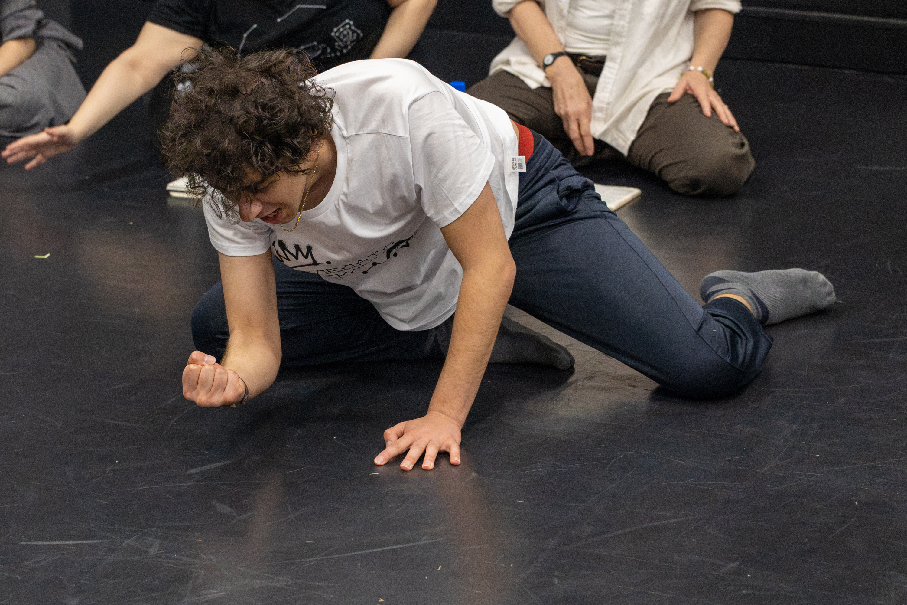 Teaching Shakespeare