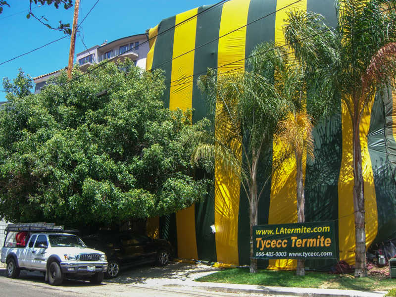 Hollywood Hills 3 Story House Fumigation
