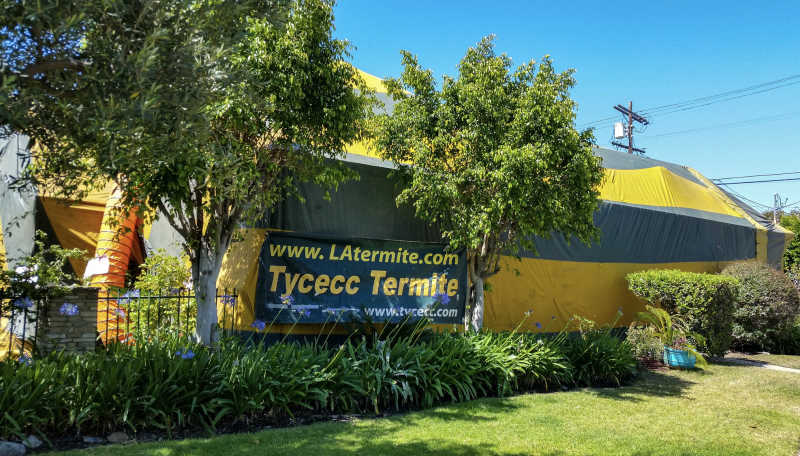 Tycecc Termite Control