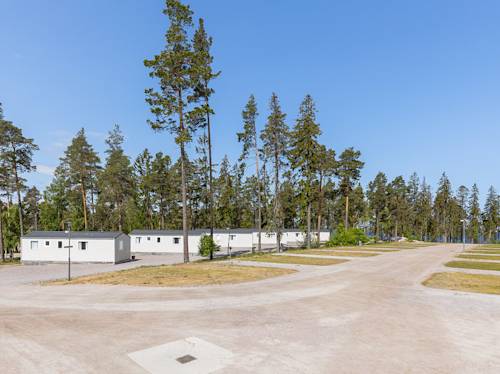 Flera vita modulbyggnader ligger bland höga tallar på en jord- och grustomt under en klarblå himmel.
