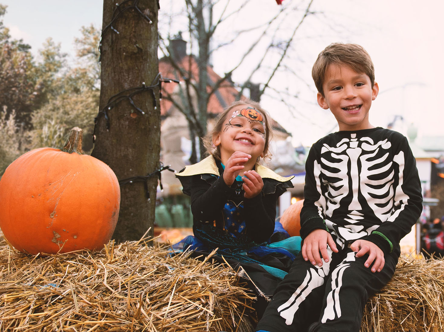 Rysmysiga aktiviteter 