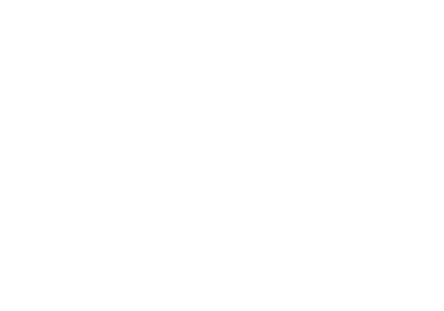 Immergas