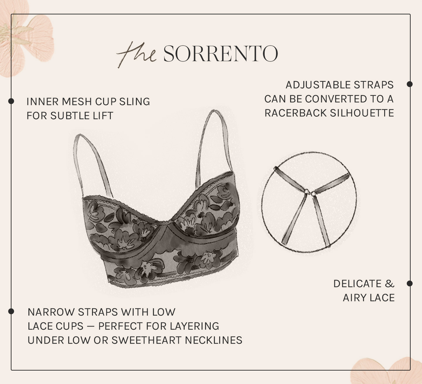 Bra Guide: Seamless, Lace, Push Up & More