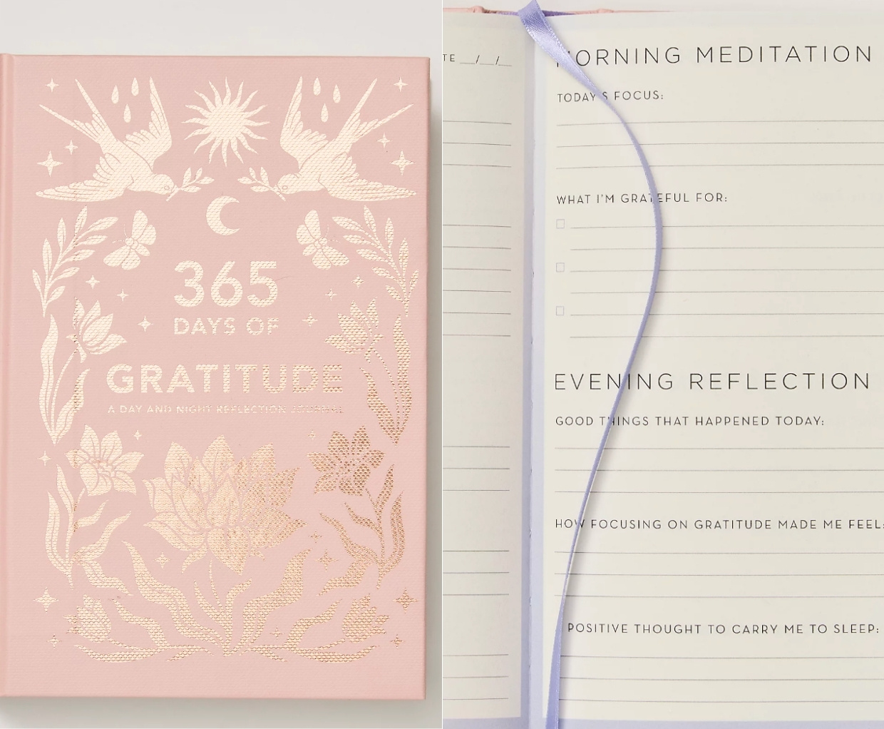 365 Days Of Gratitude