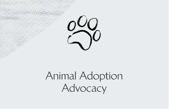Animal Adoption Advocacy
