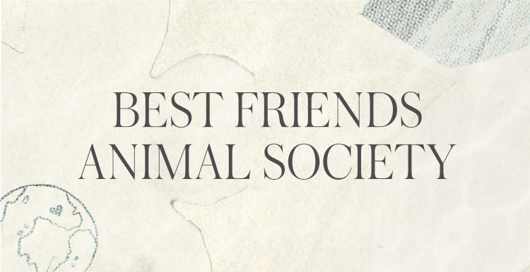 Free People x Best Friends Animal Society